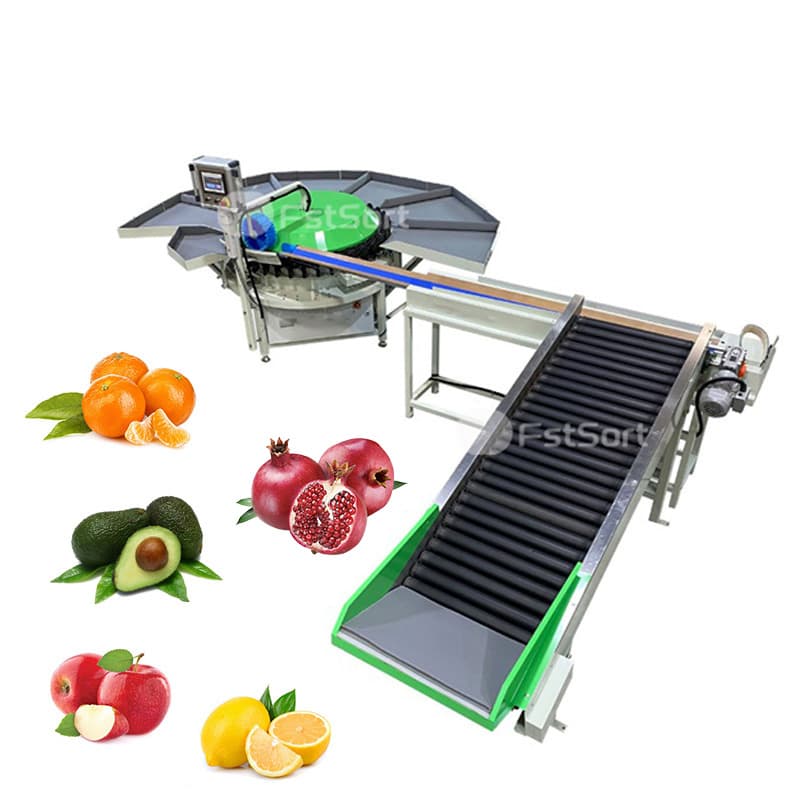 images/1764923012617pomegranate 2.jpg